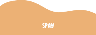 perro-spay